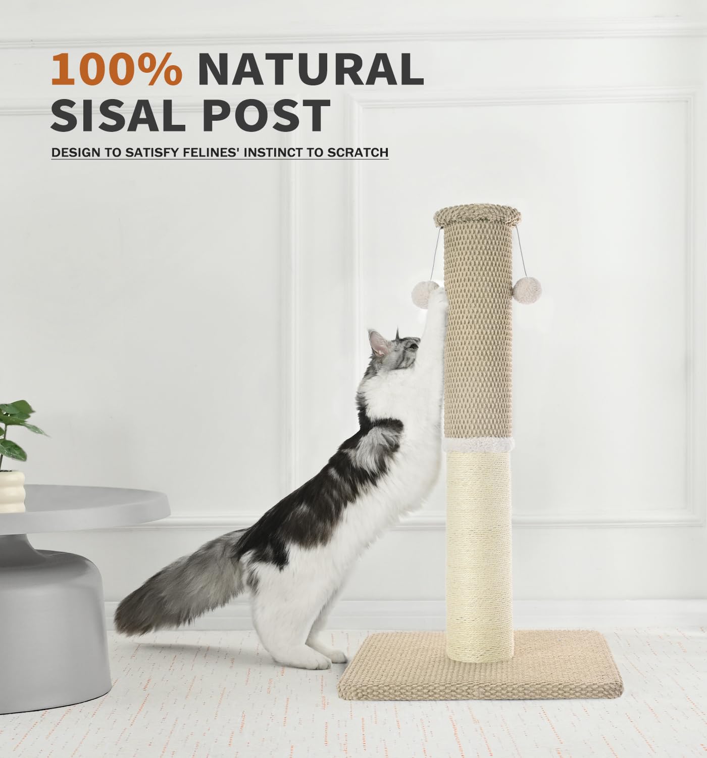 Made4Pets wide base for extra stability during vigorous play.
