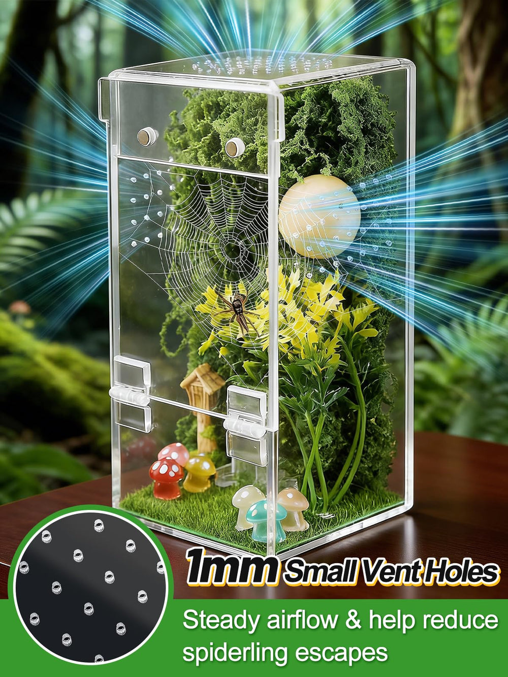 Natural decor pieces with moss provide realistic habitat cues.