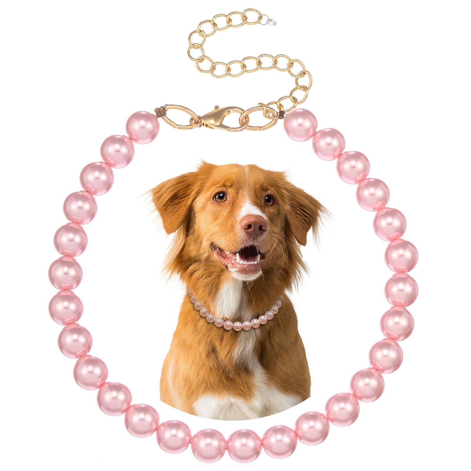 Madison Tyler dog pearl necklace close-up showcases elegant styling for pets.