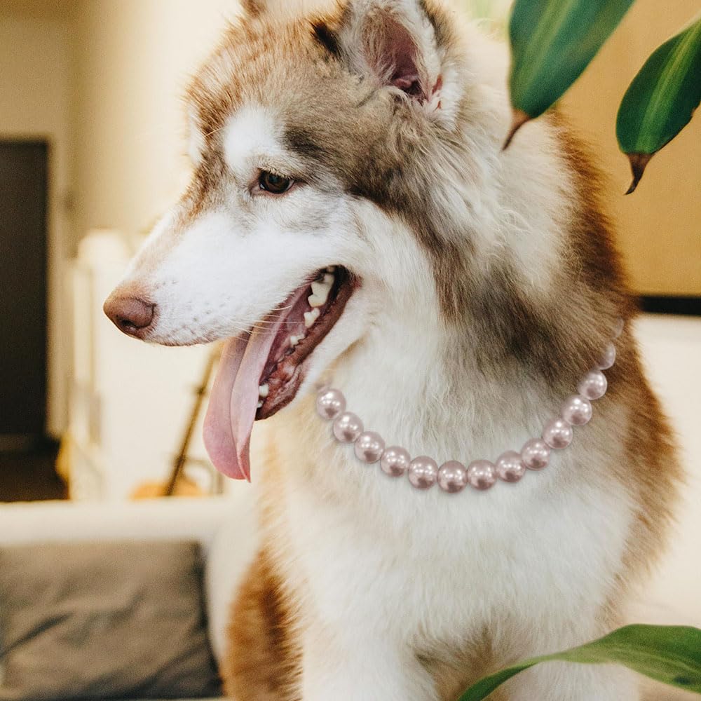 Madison Tyler fashion pet collar with pearls adds sparkle to outings.