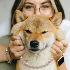 Madison Tyler lightweight dog necklace designed for everyday wear and comfort.