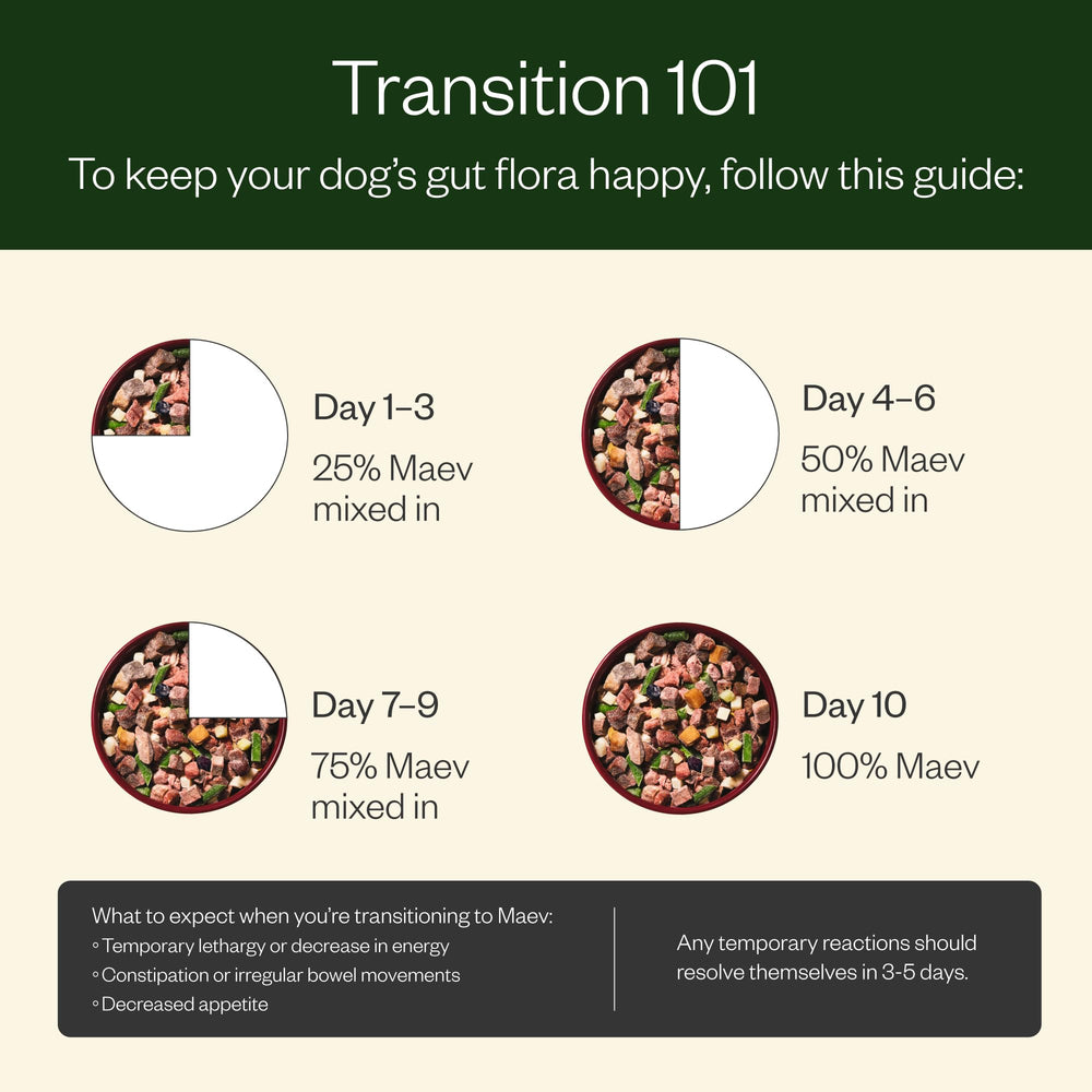 Maev beef dog food dog eating shot communicates palatability.