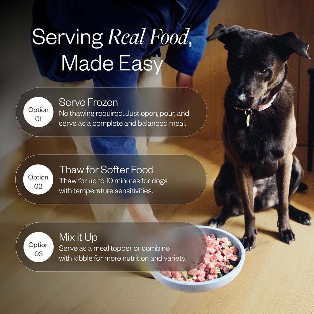 Maev beef dog food freezer freshness shows flash-frozen packaging.