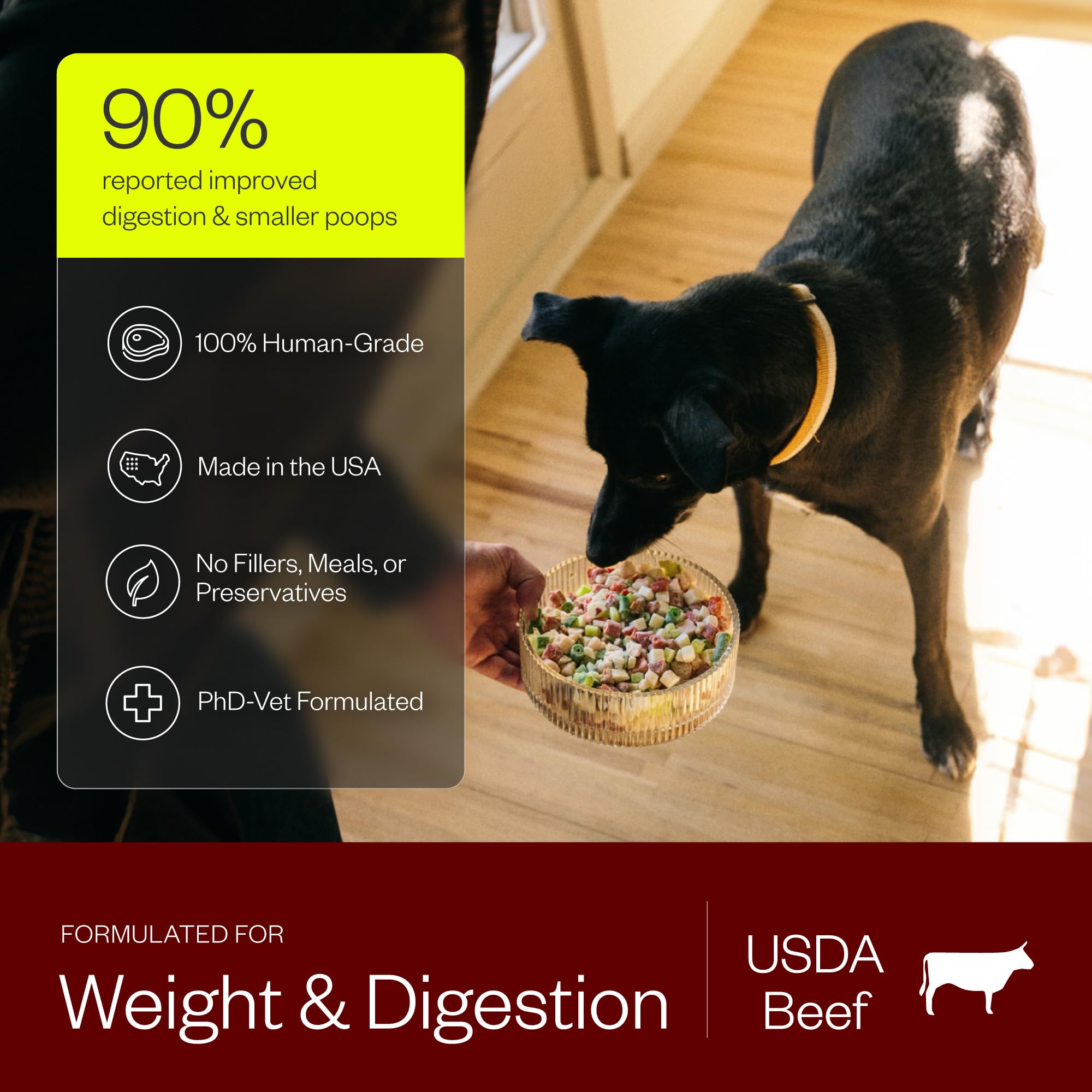 Maev beef dog food probiotics digestive-support closeup highlights gut balance.