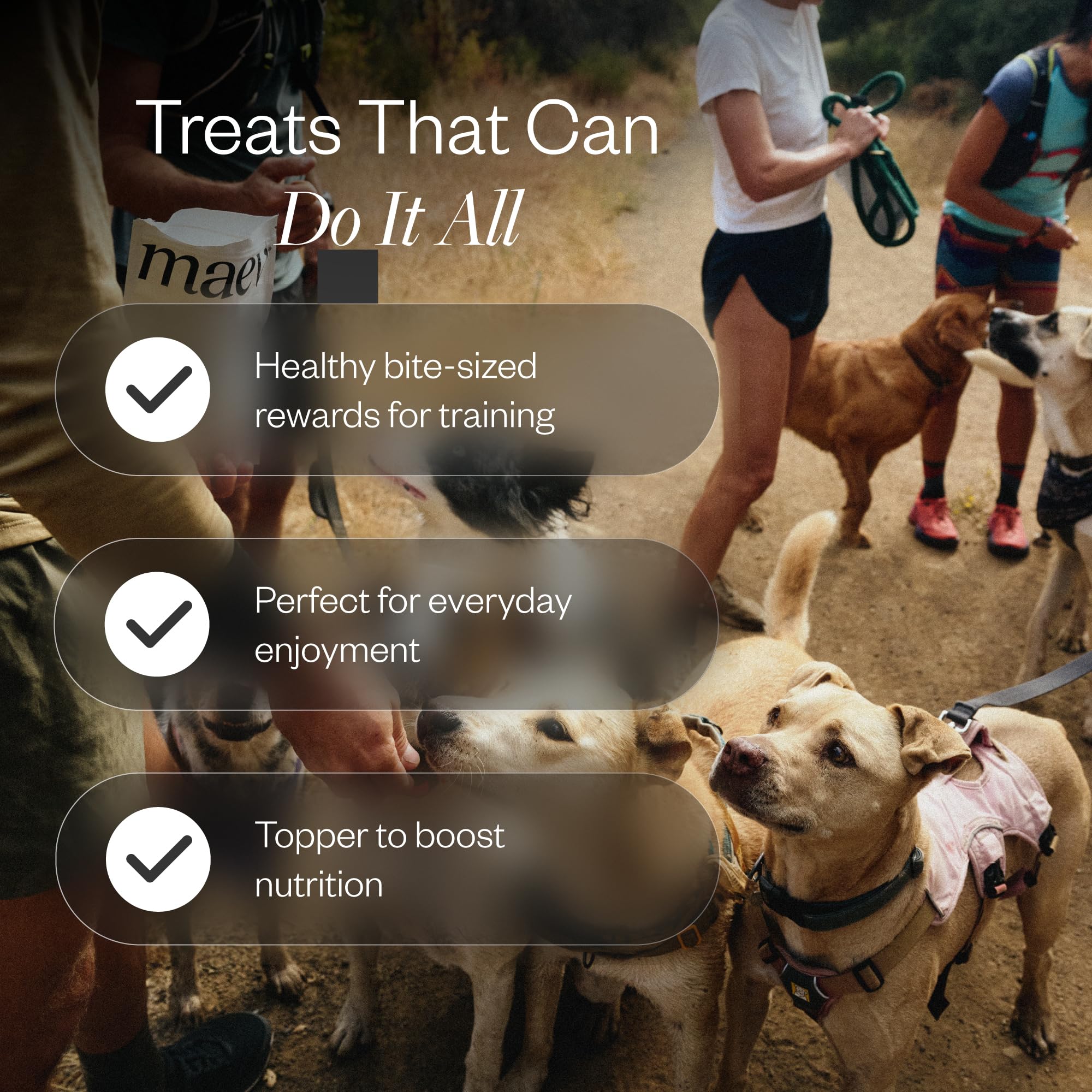 Dog mid-chew with Maev treats, ideal for high-value training rewards.