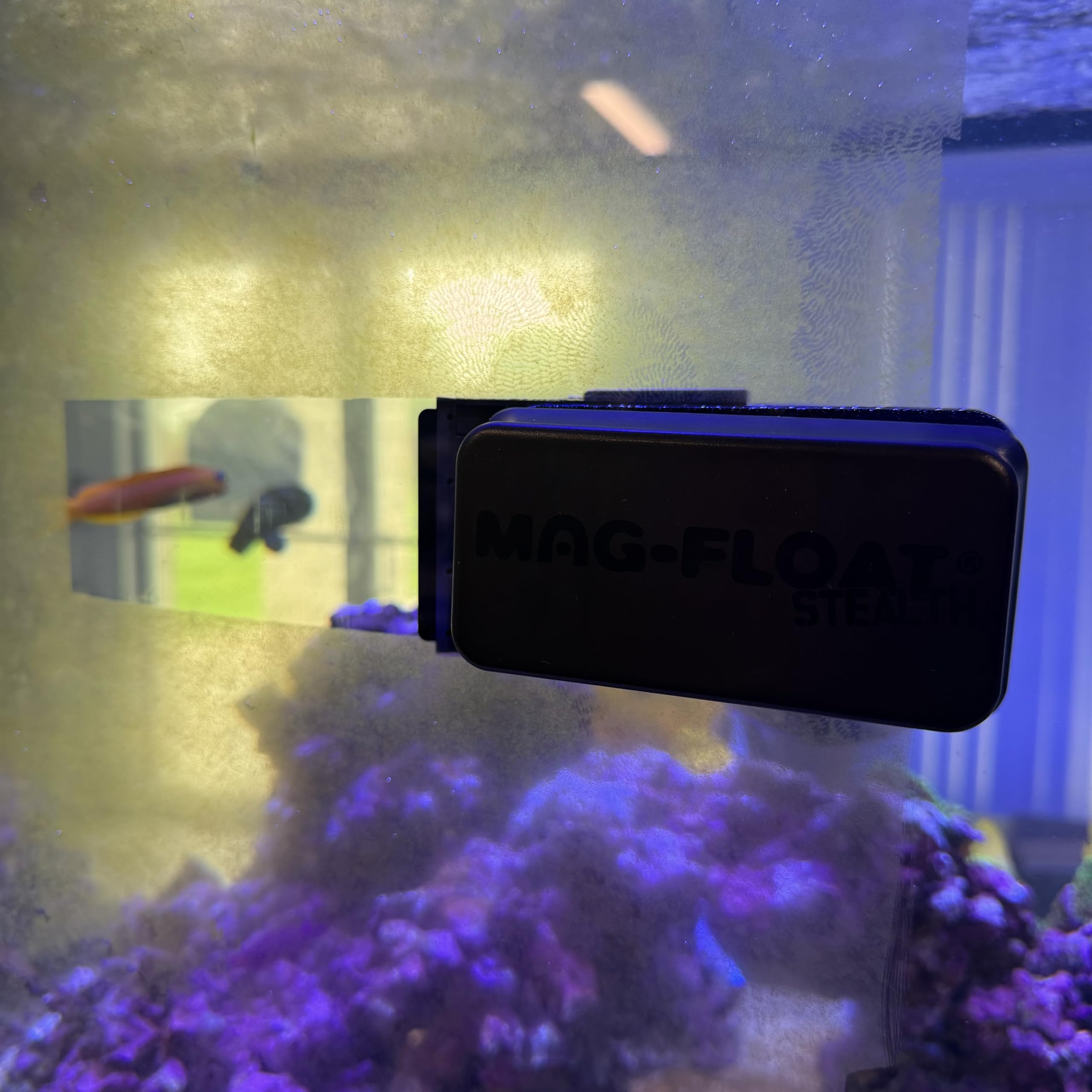 Durable Mag-Float magnetic scraper improves tank viewing clarity.