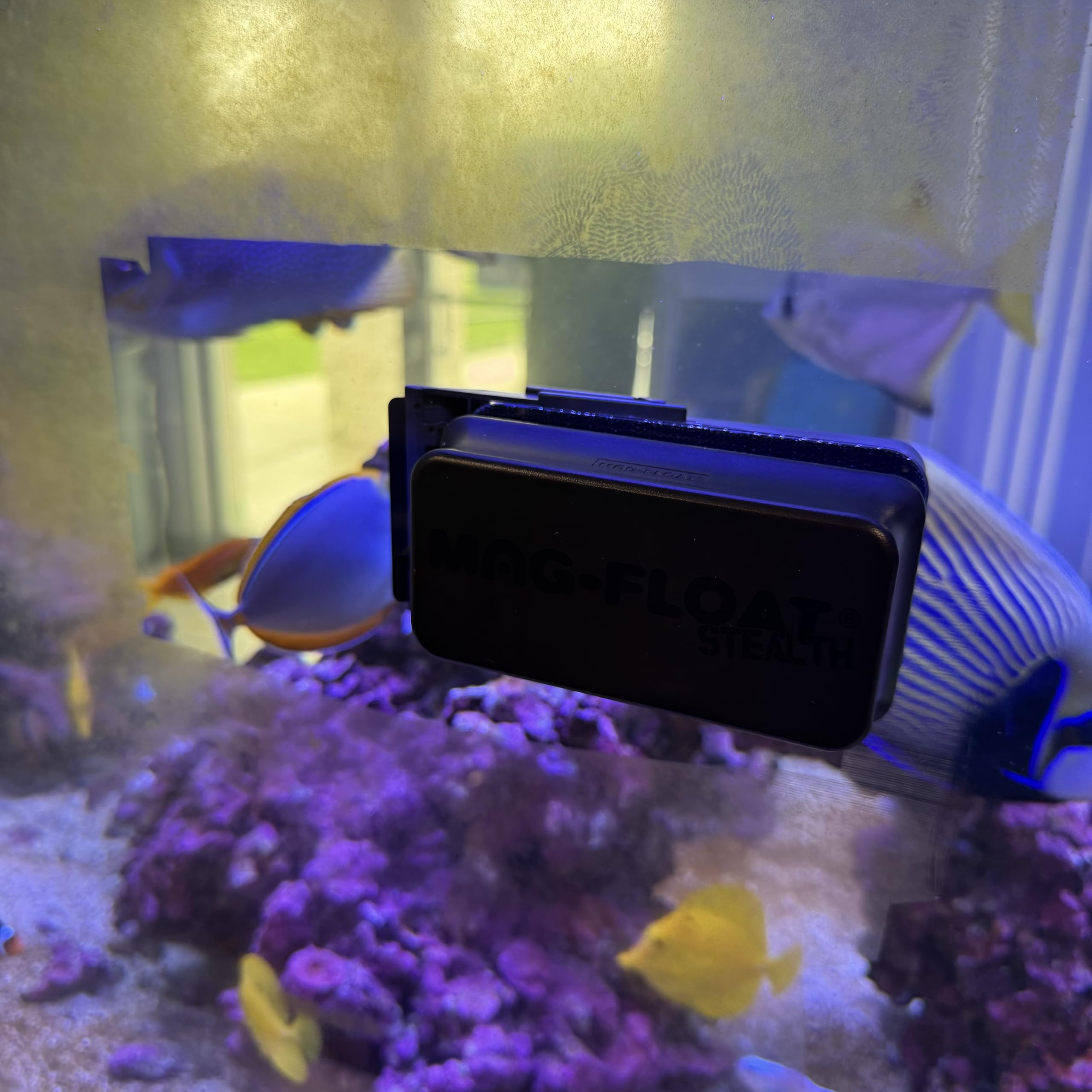 Compact Mag-Float cleaner held in hand along glass edge during cleaning.