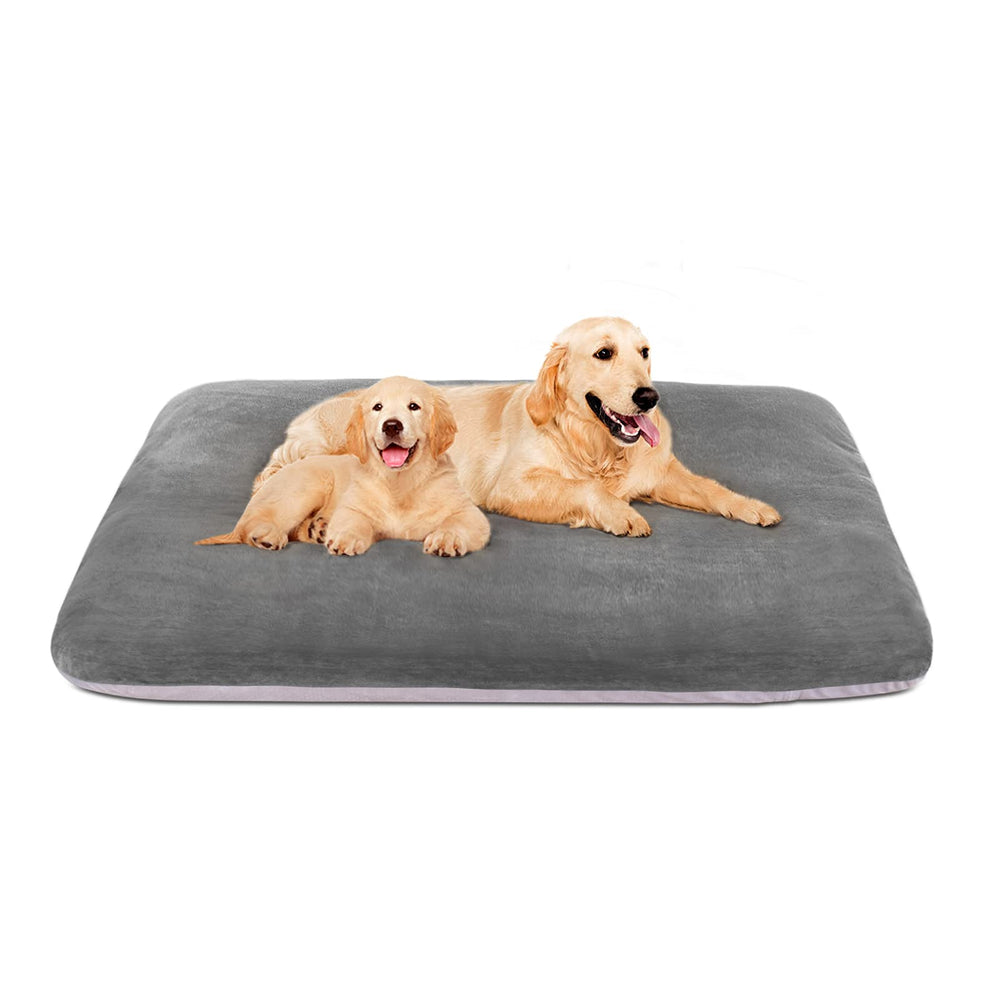 Magic Dog 47-inch XL bed on floor provides sturdy support for large dogs.