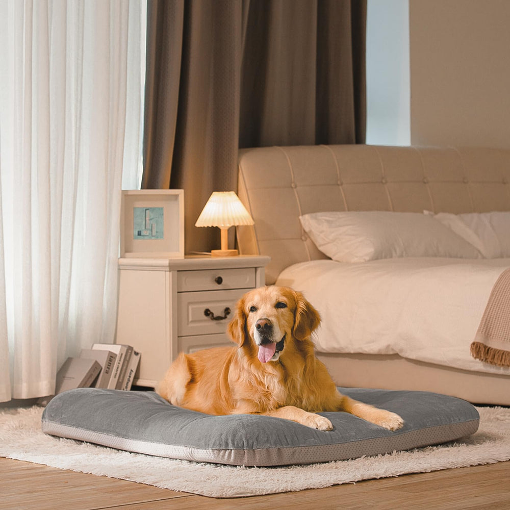 Magic Dog easy-clean bed design for busy households.