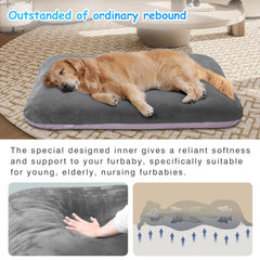 Magic Dog orthopedic foam core provides strong joint support