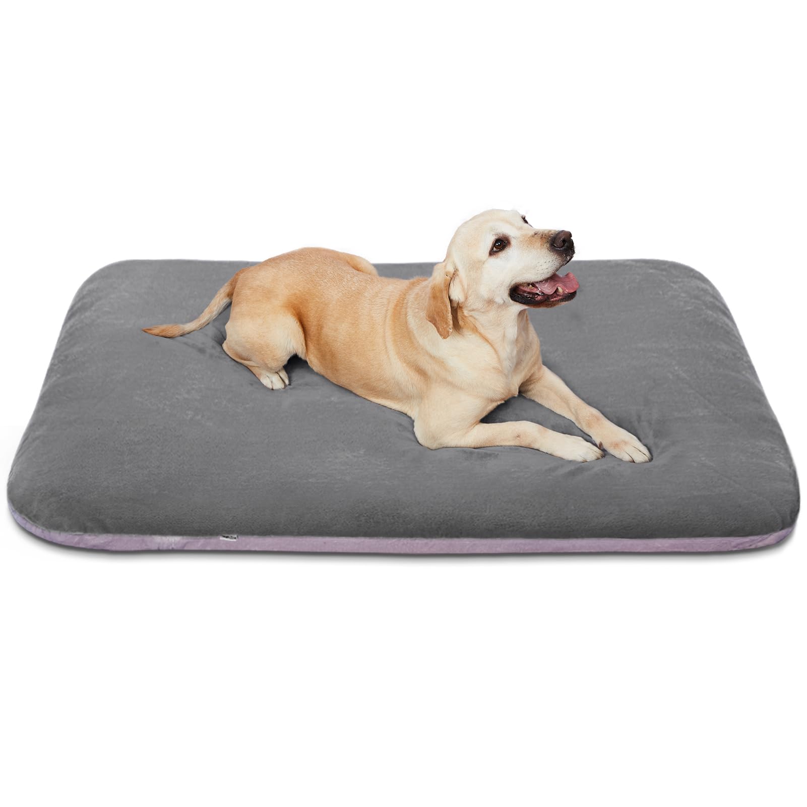 Magic Dog 39-inch bed with orthopedic foam for premium comfort.