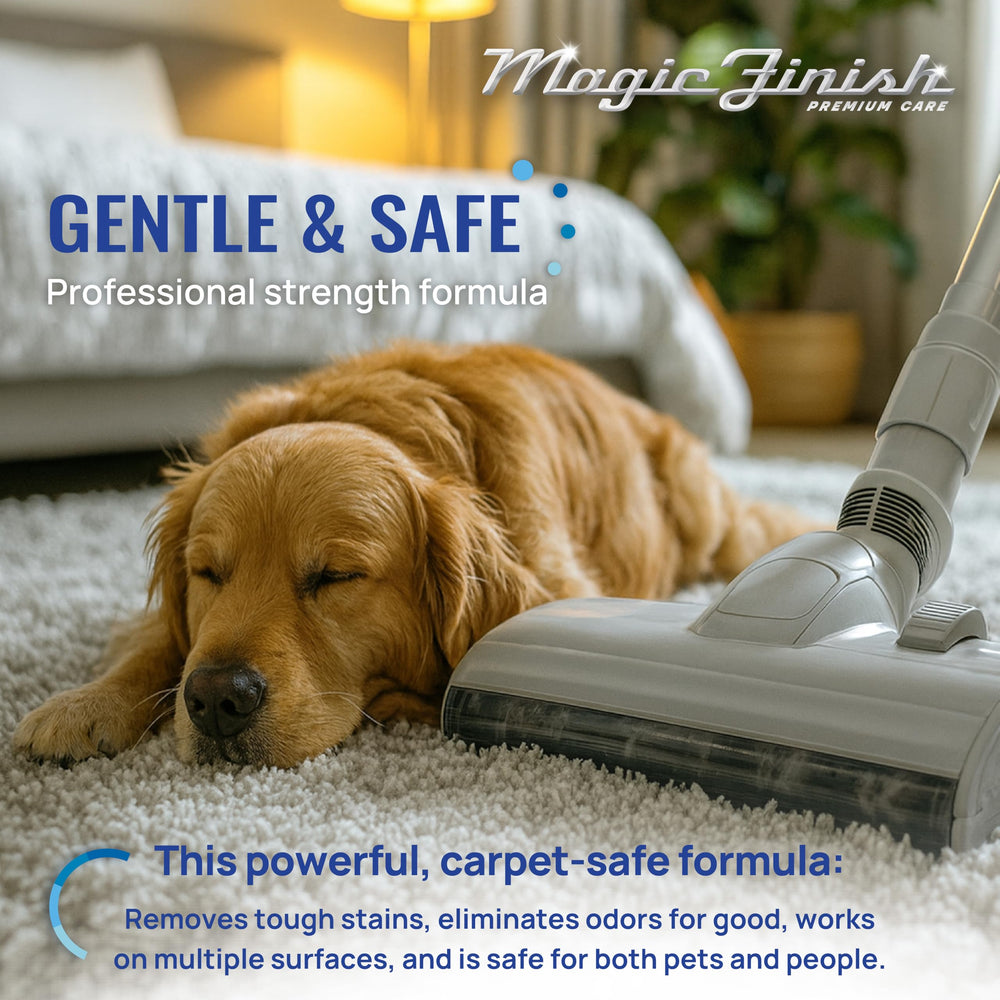 Magic Finish multisurface application demonstrates versatility on carpets and upholstery.
