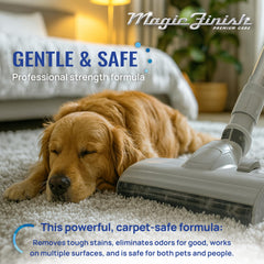 Magic Finish multisurface application demonstrates versatility on carpets and upholstery.