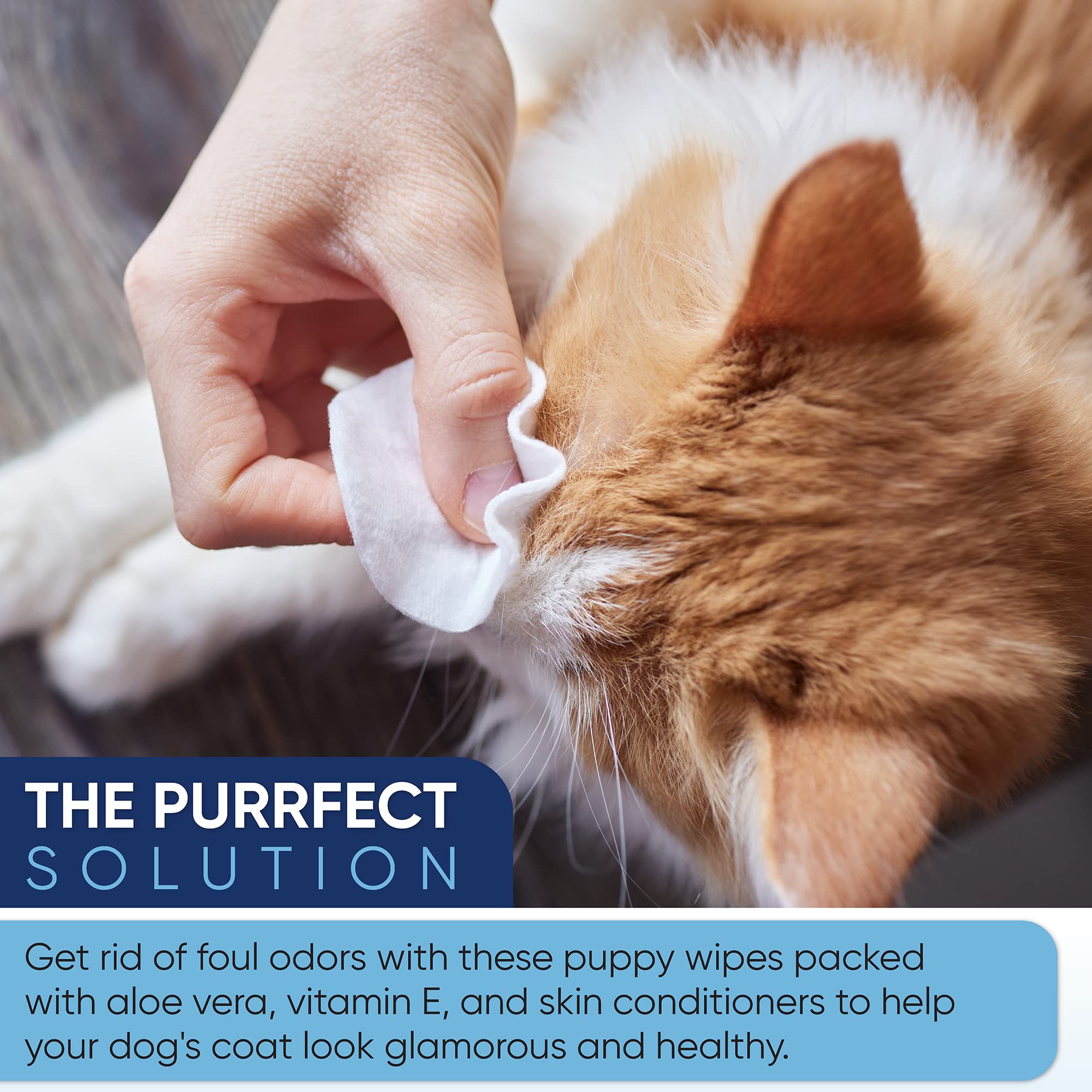 MAGICARE pet wipes on the face area for gentle cleansing.