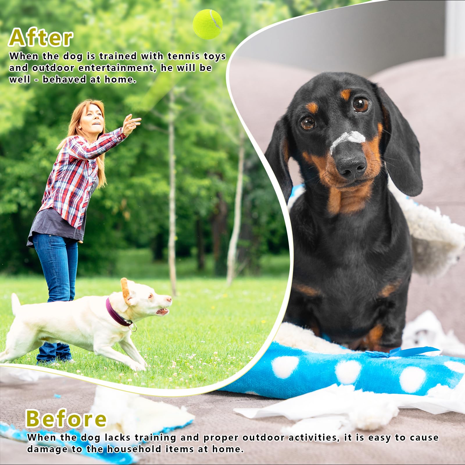 Magicorange bright colors attract pets for engaging play sessions.