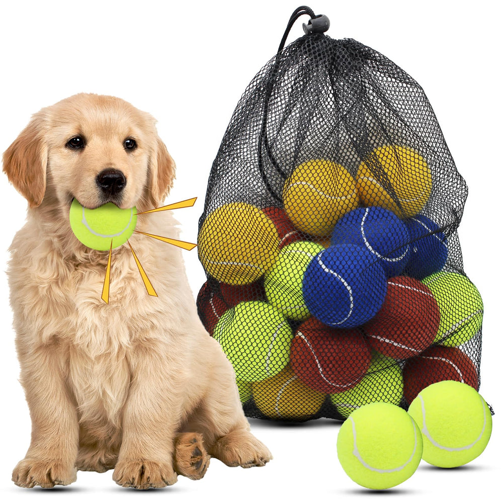 Magicorange 20-pack of 2.5-inch dog tennis balls ready for fetch