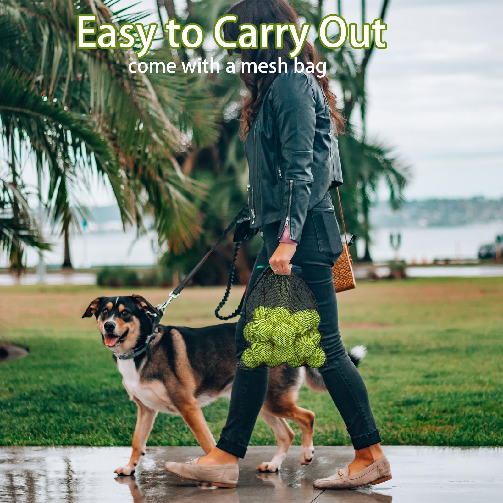 Magicorange durable tennis ball supports active dogs during training and games.