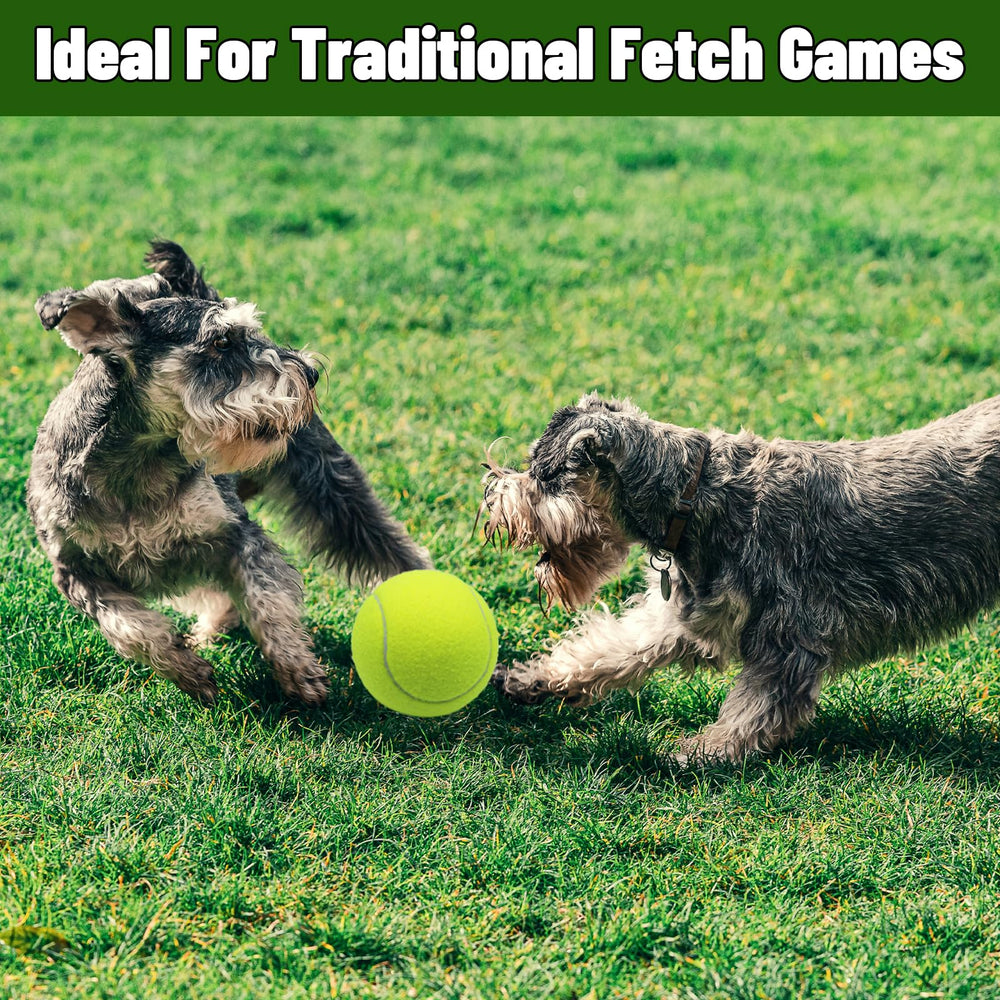 Magicorange interactive dog toy designed for bonding and exercise.