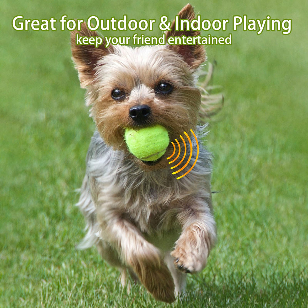 Magicorange interactive fetch toy suitable for indoor and outdoor adventures.