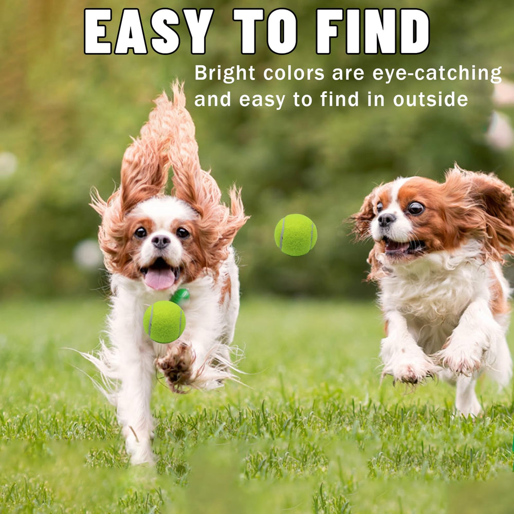 Magicorange small dog training toy ideal for fetch and games.