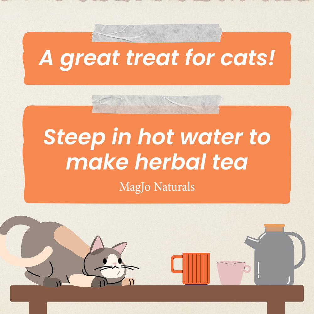 Foil-lined resealable bag preserves MagJo Naturals catnip freshness.