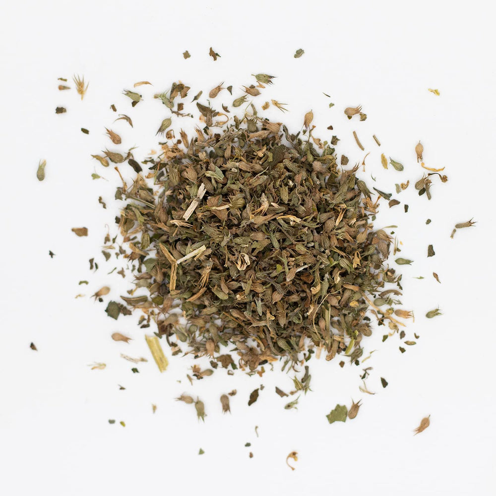 Close-up of MagJo Naturals catnip leaves highlighting fresh aroma.