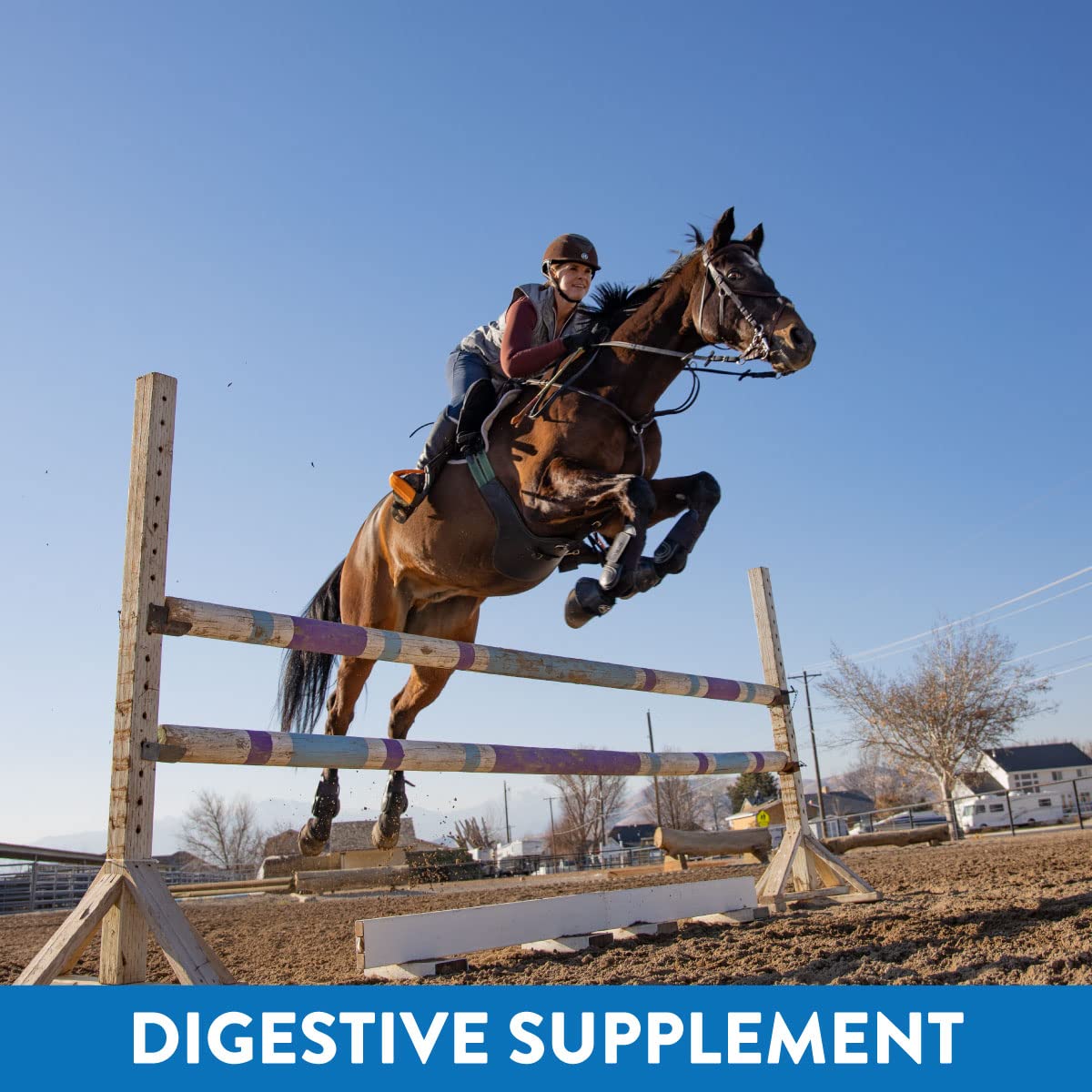 MagnaGard all-natural, show-safe formula for continual feeding and digestive care.