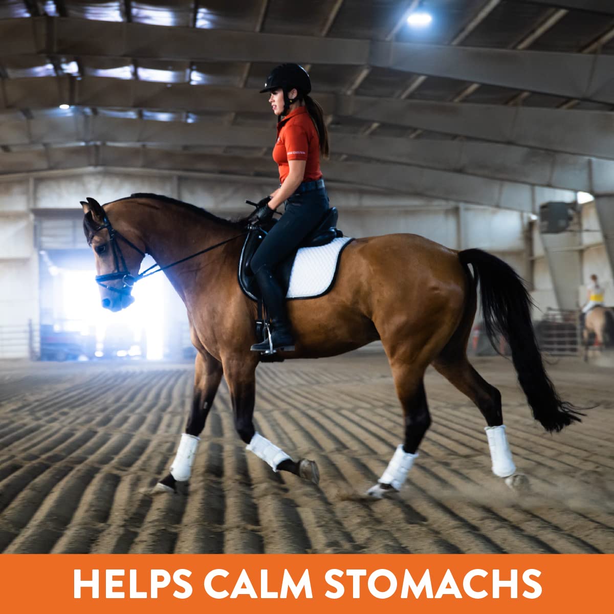 MagnaGard Plus promotes a healthy coat and hoof support.