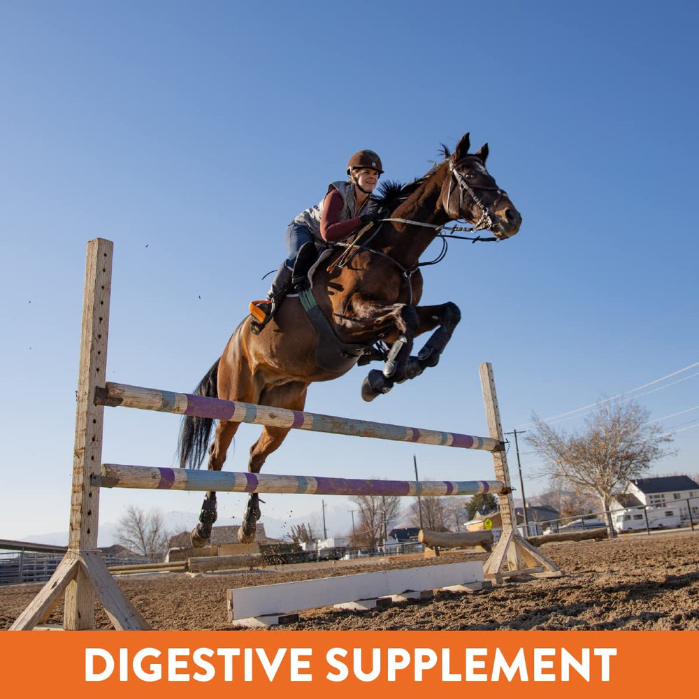 MagnaGard Plus supports gut comfort for ulcer-prone horses.