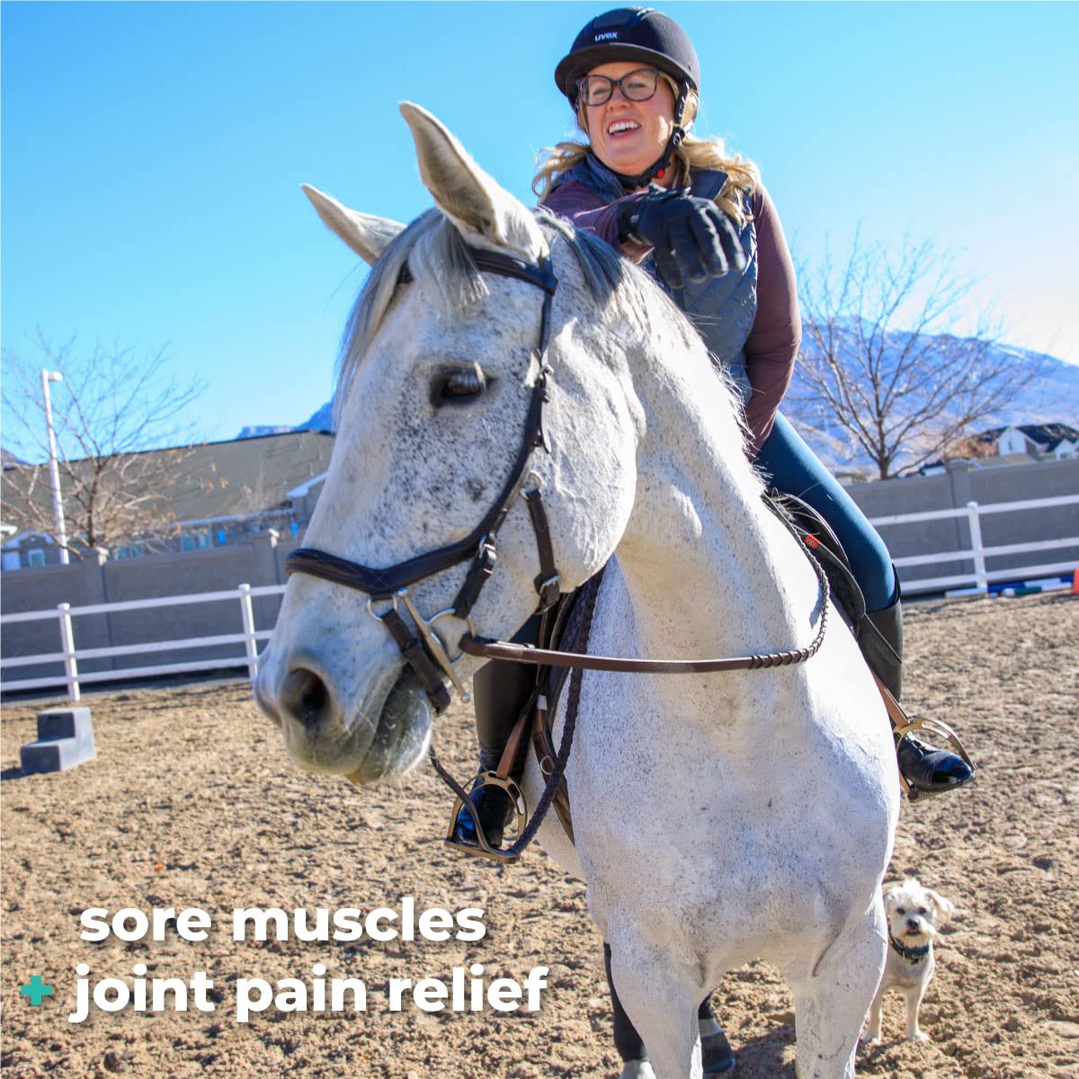 MagnaGard veterinary liniment gel applied to horse joints and tendons.