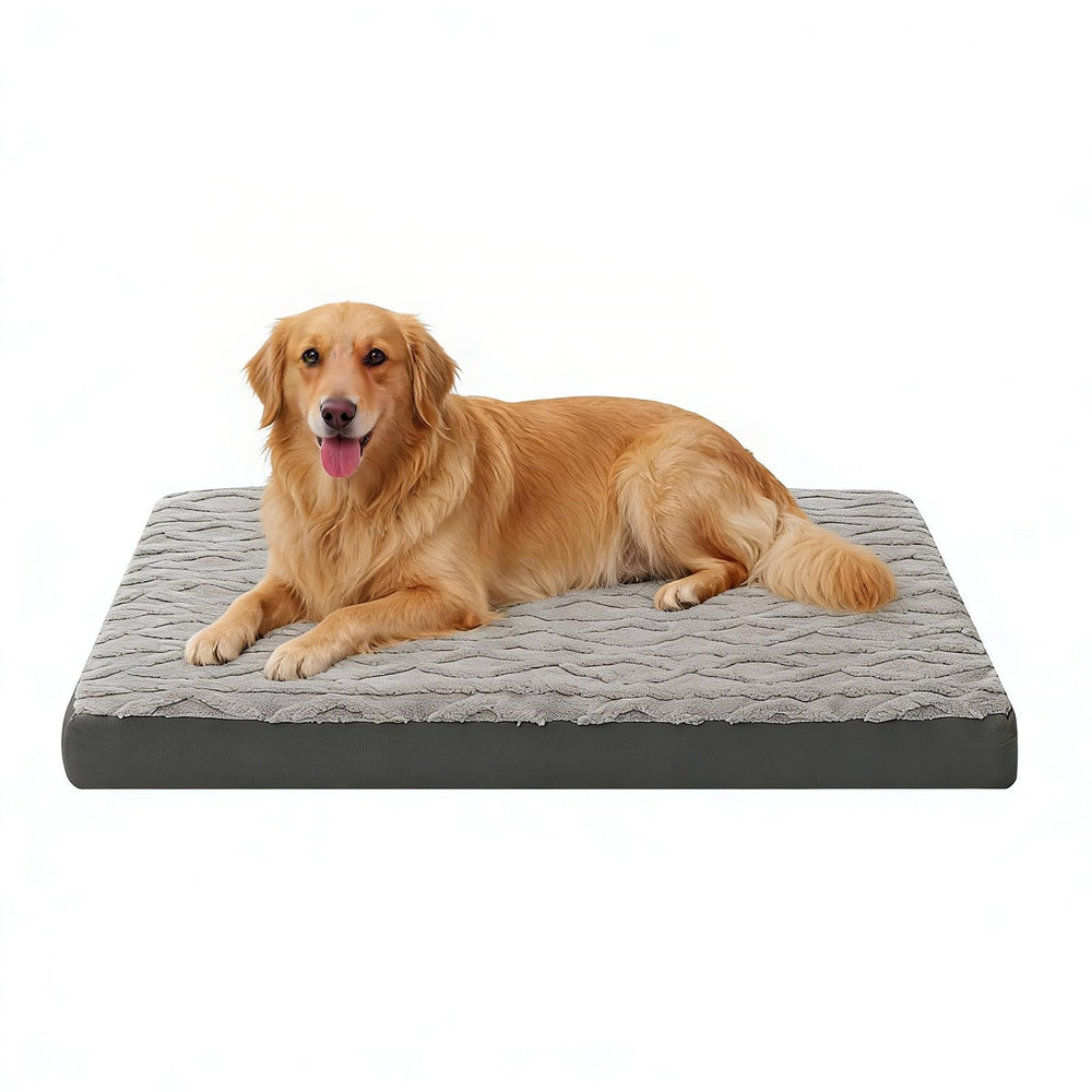 Maihandasi orthopedic bed - front view shows plush memory foam for support