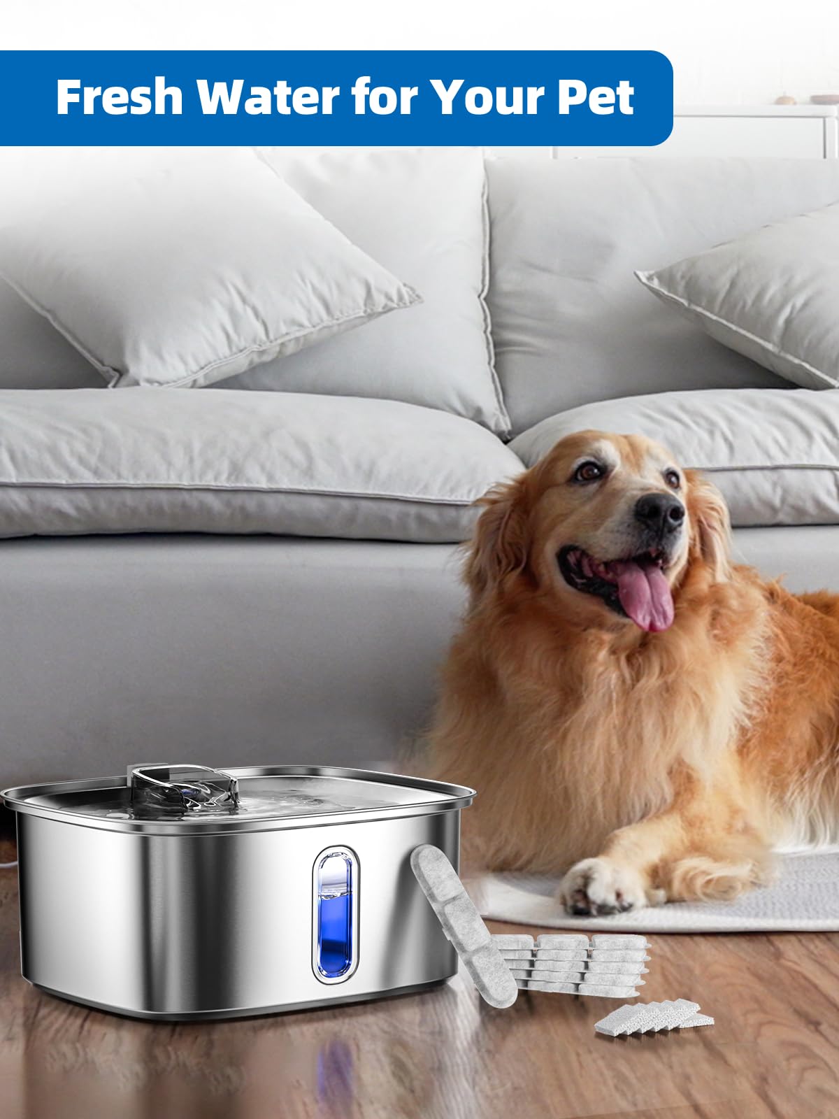 MAILOFY multi-pet design suits households with several dogs