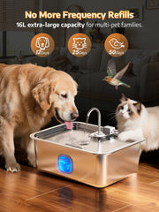 MAILOFY dog fountain with visible window for easy water monitoring.
