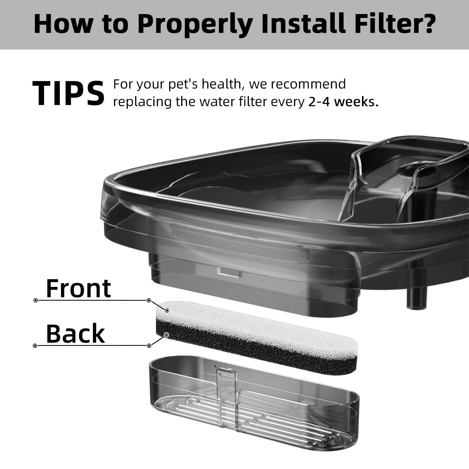 MAILOFY large dog water bowl promotes consistent hydration for big dogs.