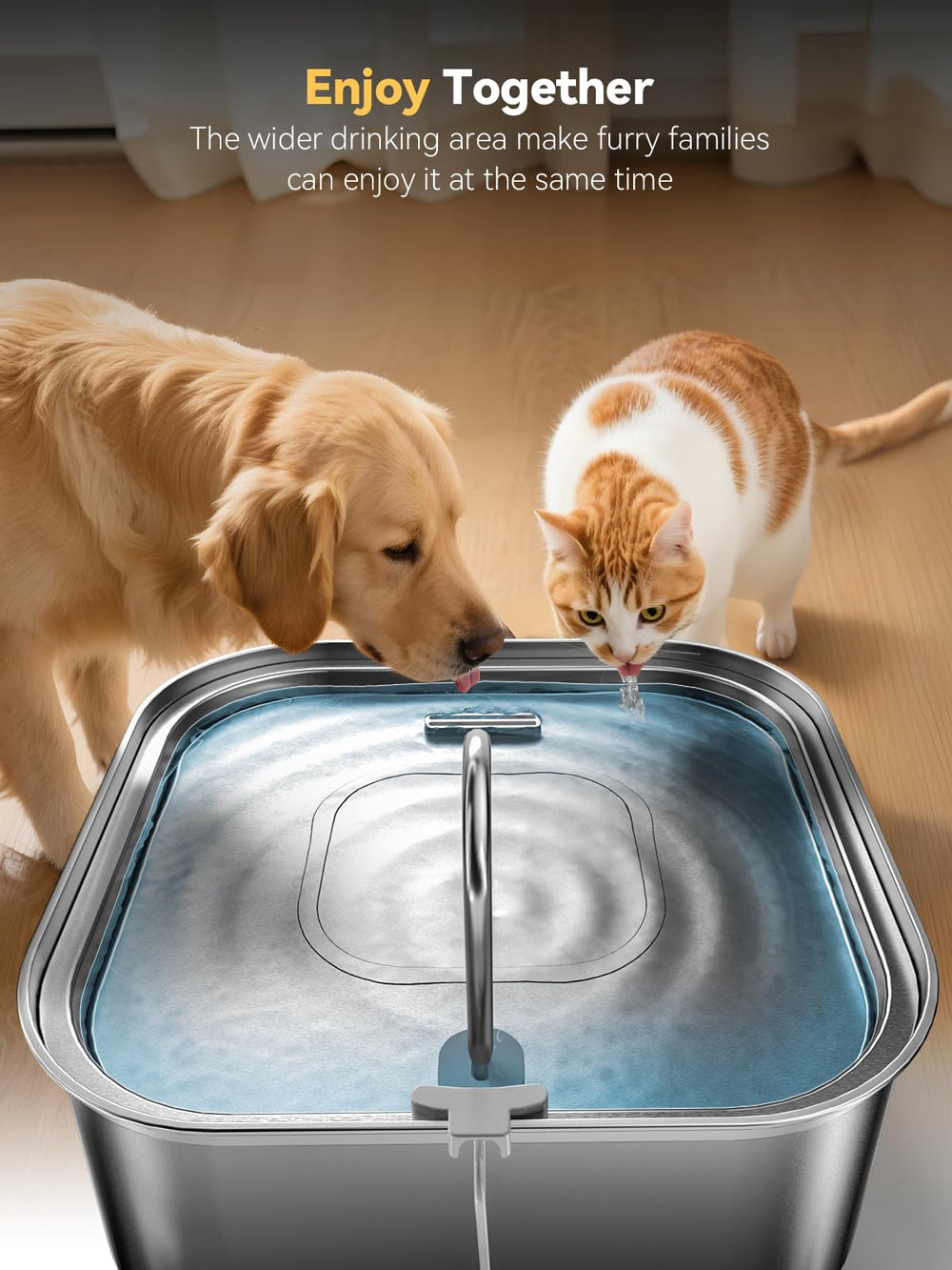 MAILOFY square design saves space while keeping a roomy water tray.