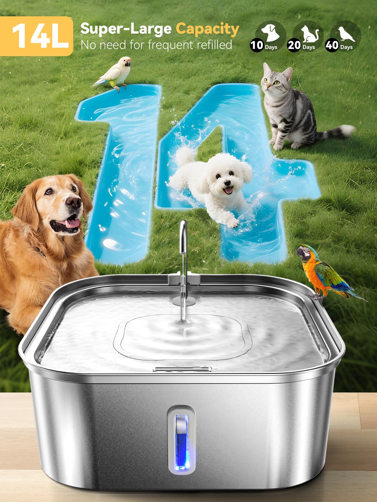 MAILOFY water level window shows the level at a glance for steady pet hydration.