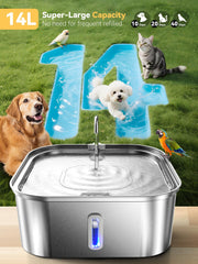 MAILOFY water level window shows the level at a glance for steady pet hydration.