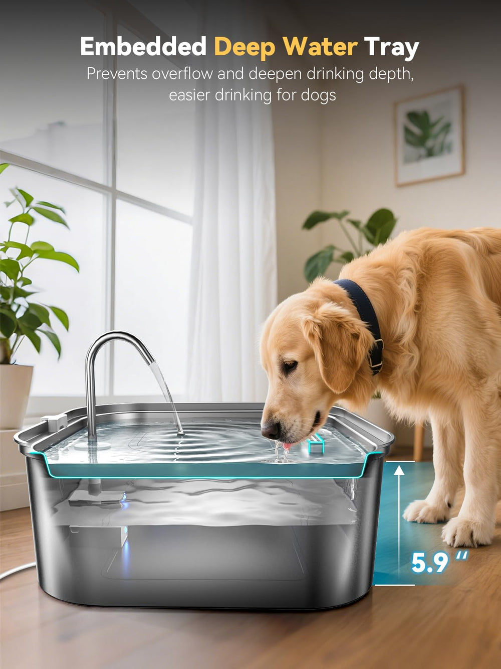 MAILOFY wide drinking area lets pets choose a comfortable drinking angle.