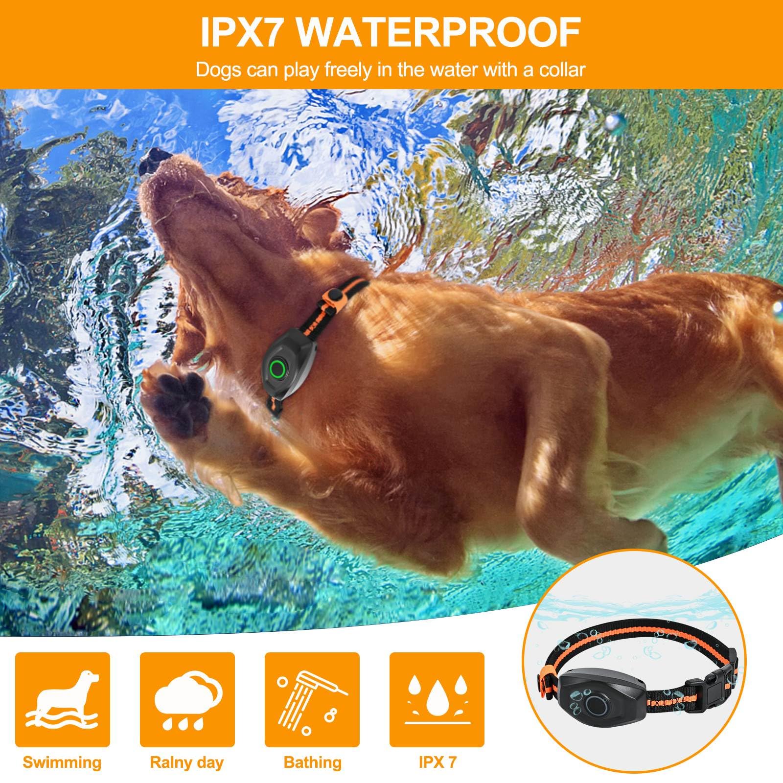 MAISOIE adjustable collar demonstrates versatile fit for small to large dogs.