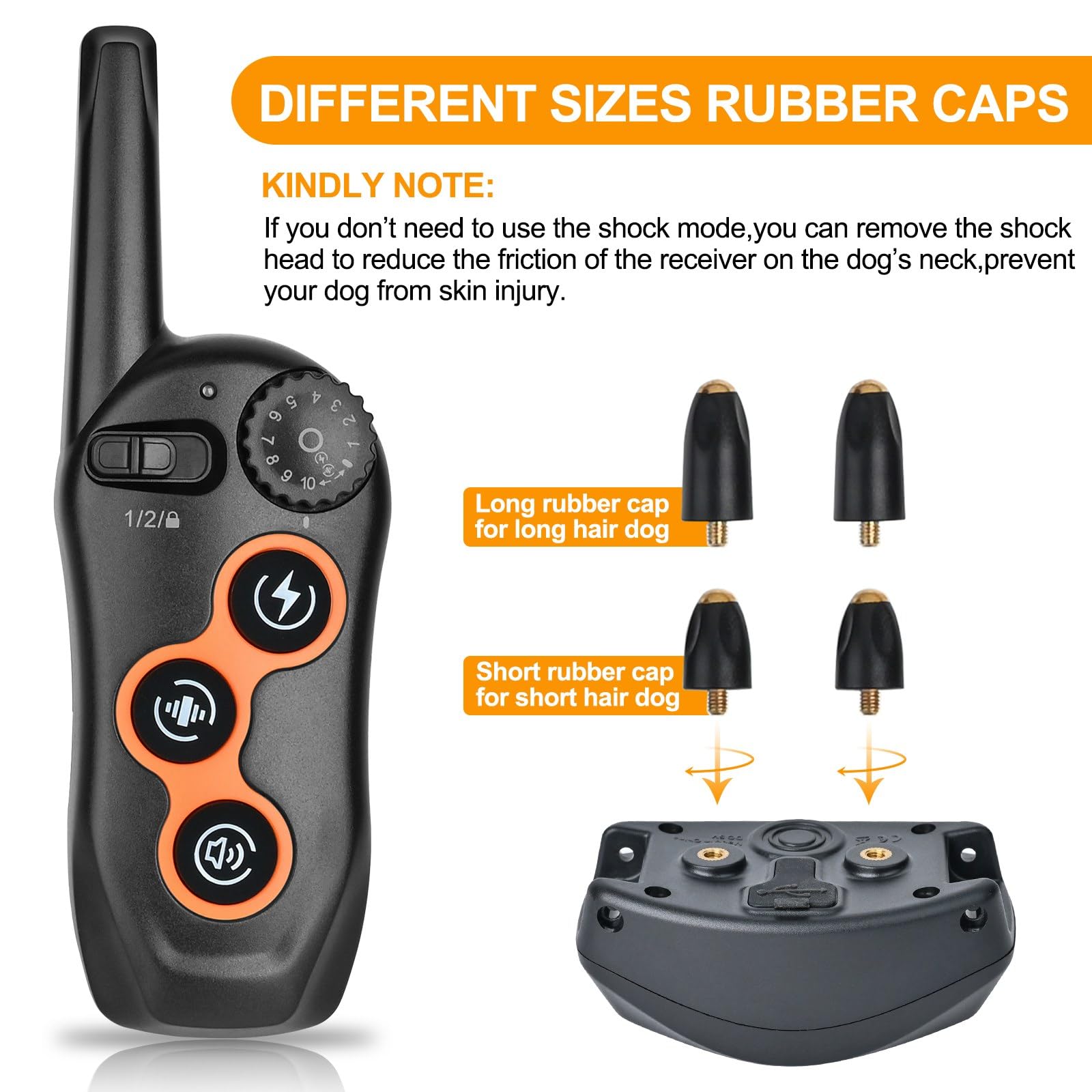 MAISOIE dual-channel remote supports training two dogs with independent signals.