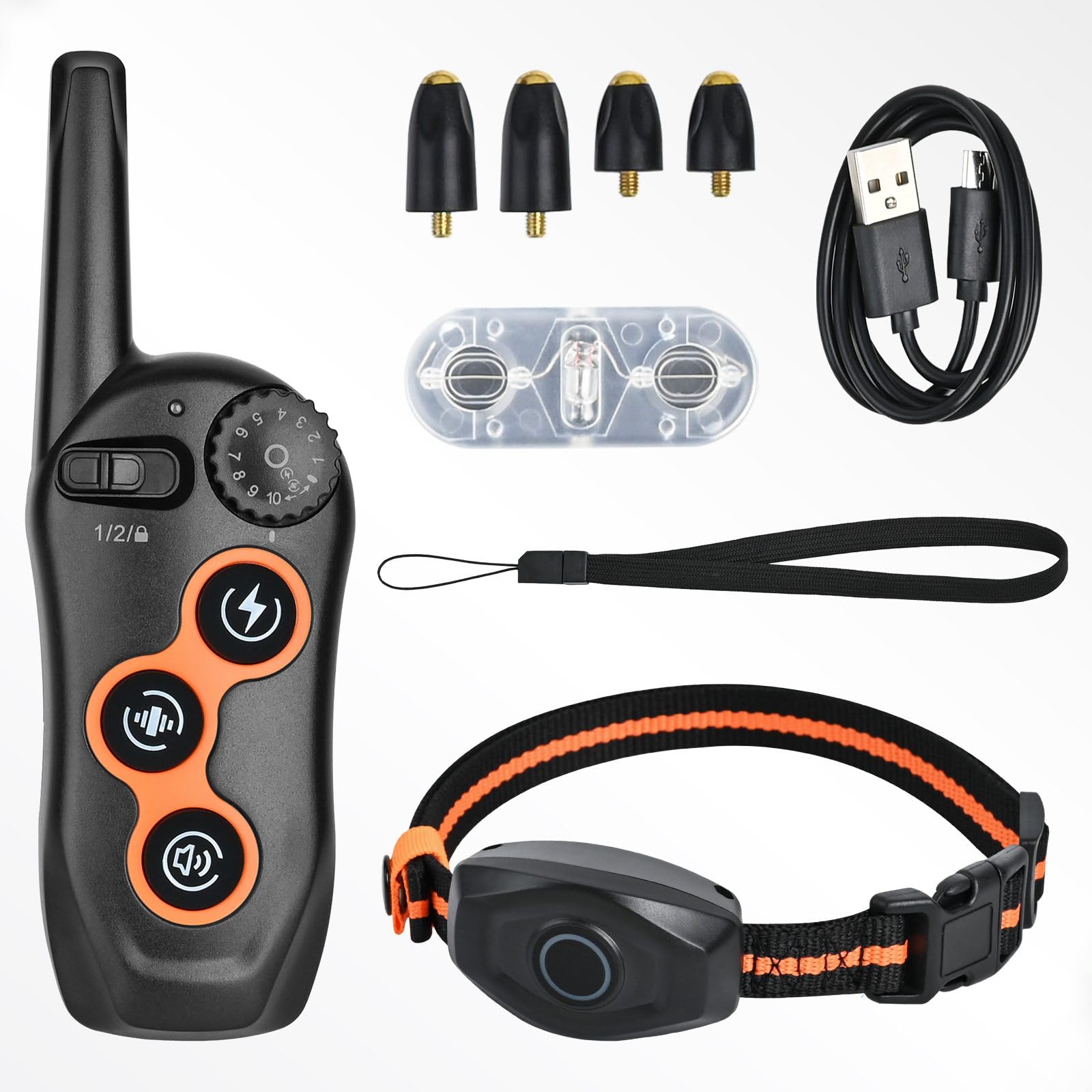 MAISOIE training collar in-use at the park shows practical outdoor training.