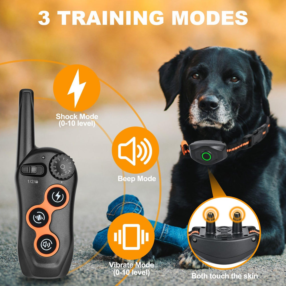 MAISOIE remote control for training collar enables precise commands from a distance.