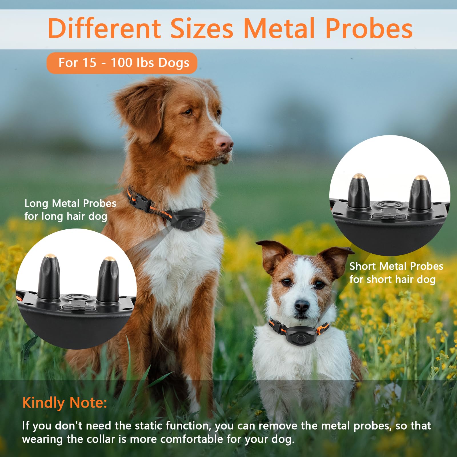 MAISOIE remote with dual-channel design for training two dogs.