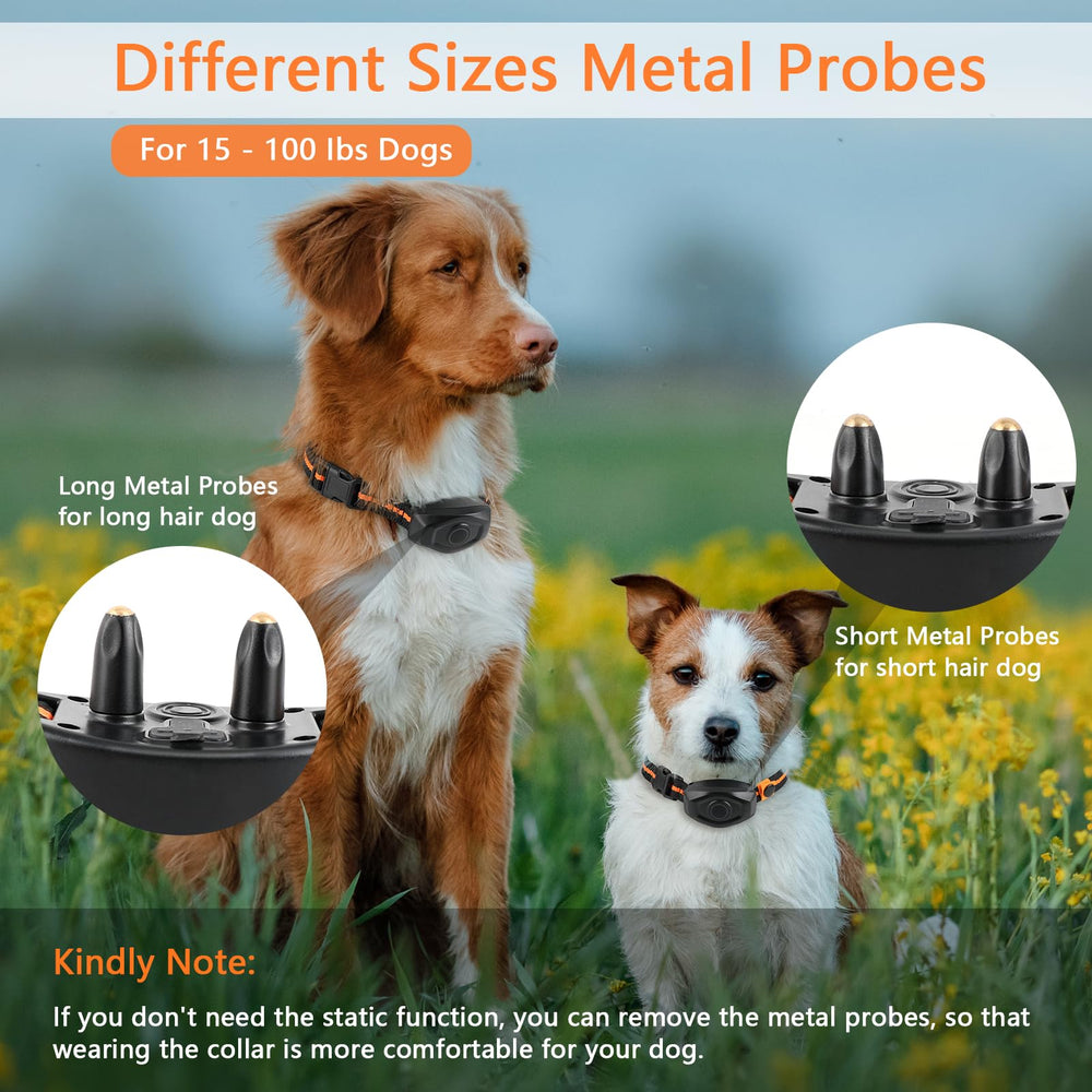 MAISOIE remote with dual-channel design for training two dogs.
