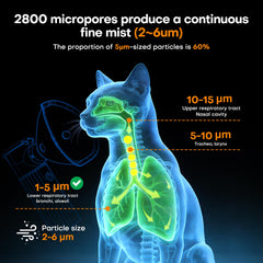 Maitmt Cat Nebulizer 1000mAh battery showcases cordless use for home or travel