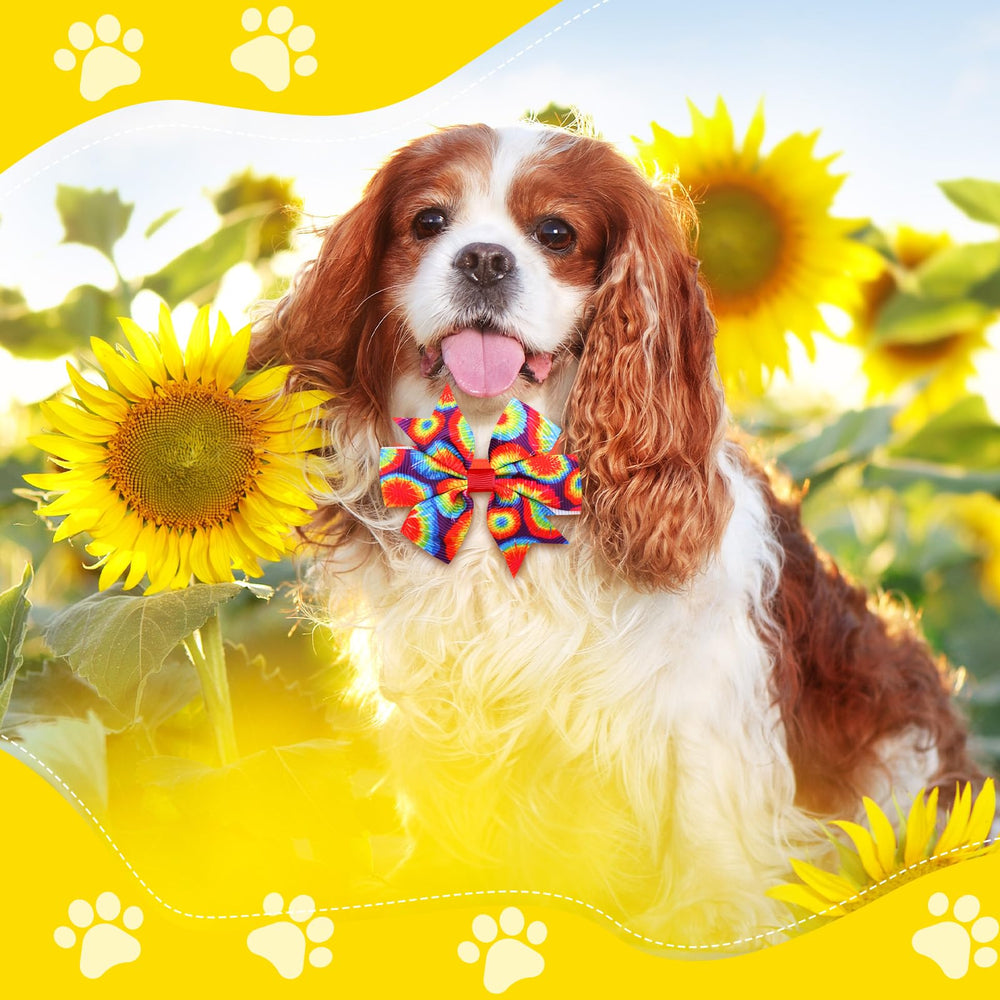 Maitys purple-tie-dye pet bow collar adds cheerful style to daily walks.