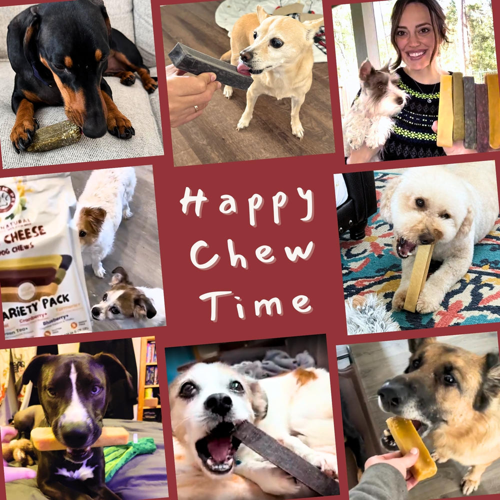 Majestic Pet Himalayan cheese chew for power chewers, durable and satisfying
