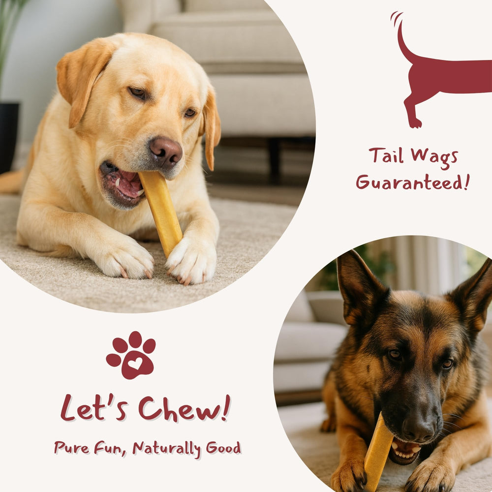 Majestic Pet Himalayan cheese chew variety pack, versatile dog treats