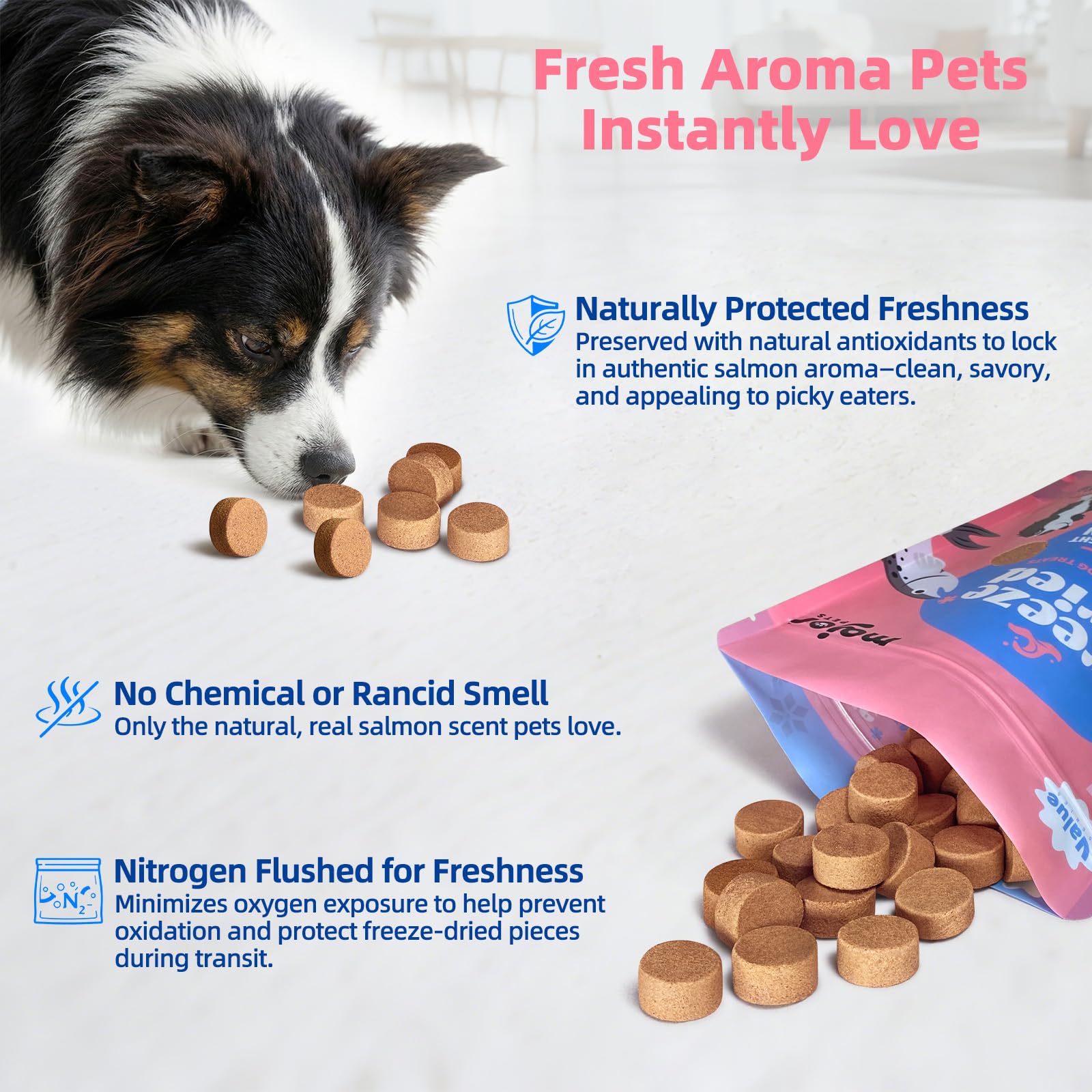 MAJOR PETS omega-3 rich salmon bites support skin, coat, and joints.