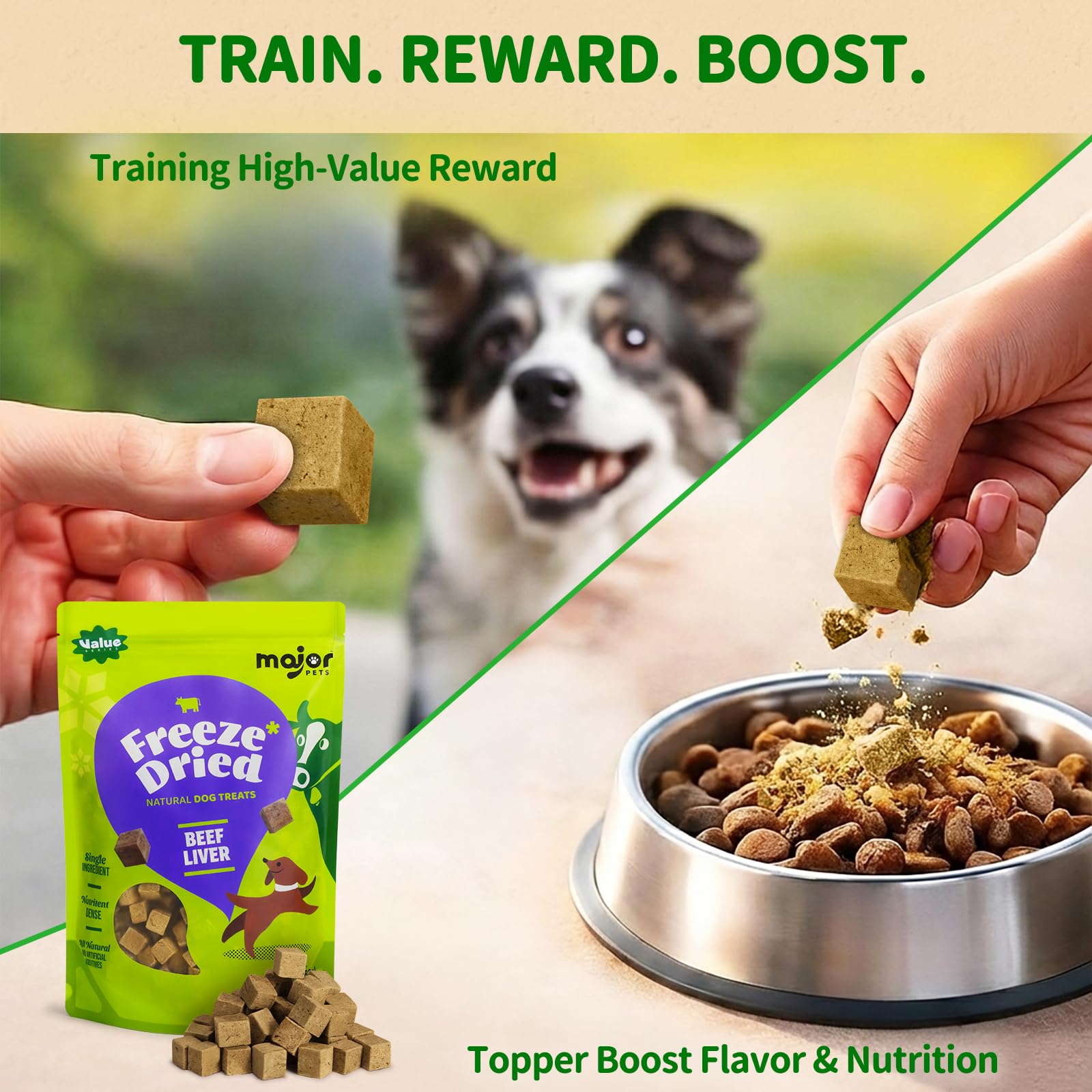 Major Pets treats on a training session demonstrating high value reward during practice